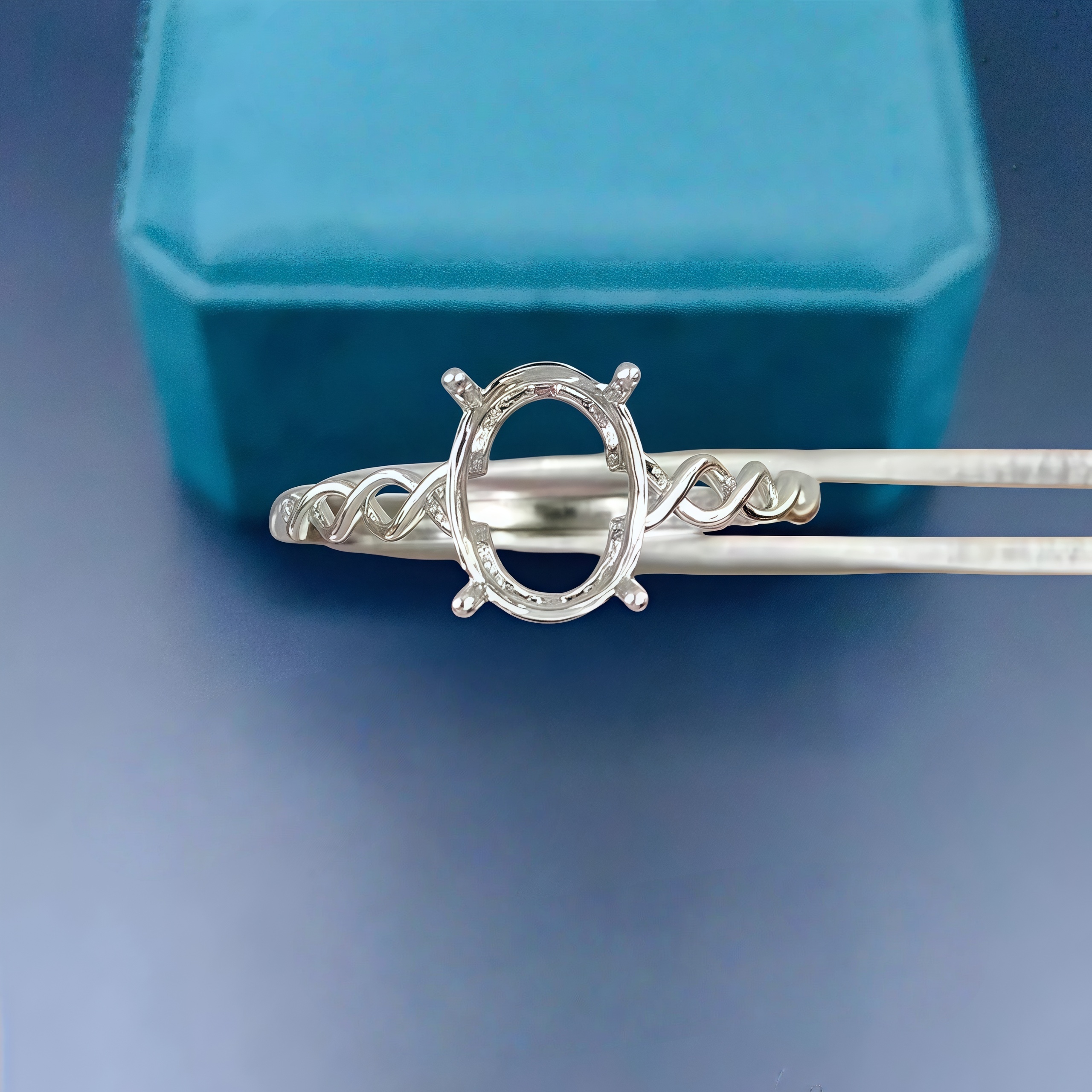 DIY Empty Ring Holder S925 Ste – Women Accessories Holder Bewertung und Preis